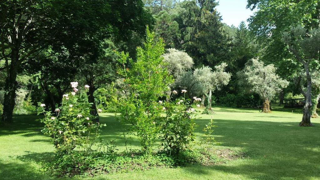 Rancho La Herradura Arenas de San Pedro Phòng bức ảnh